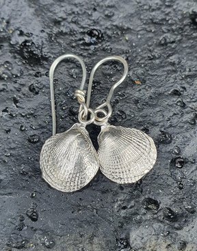 Silver Cockle Shell Earrings-jewellery-HYDRO SURF