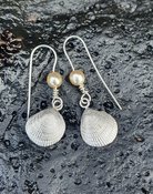 Silver Shell Earrings