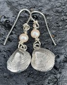 Silver Cockle Shell & Peal Earrings