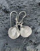Silver Shell Earrings