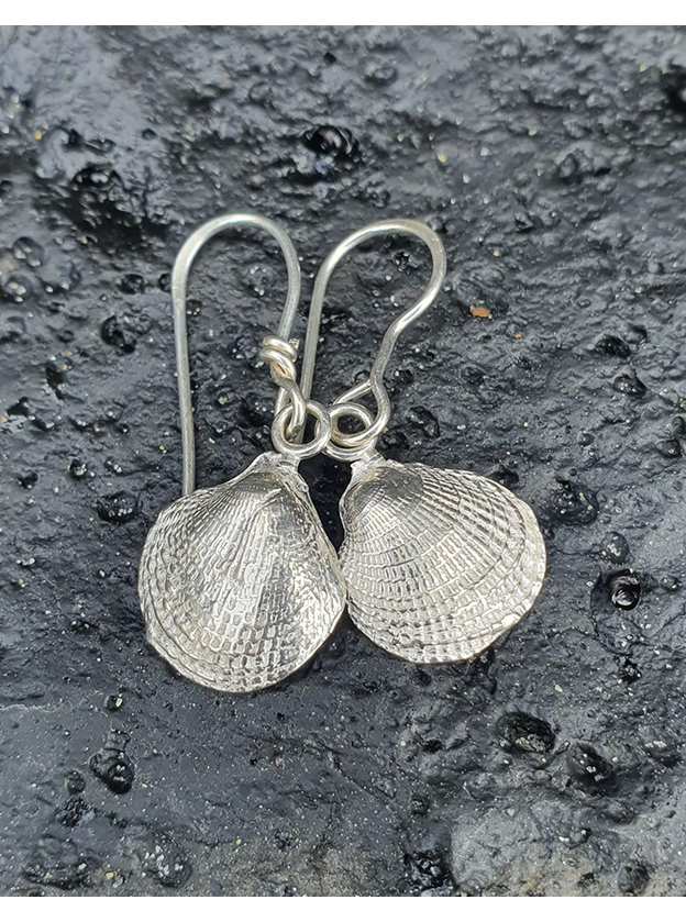 Silver Cockle Shell Earrings
