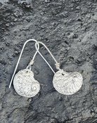 Silver Paua Shell Earrings