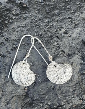 Silver Paua Shell Earrings-jewellery-HYDRO SURF