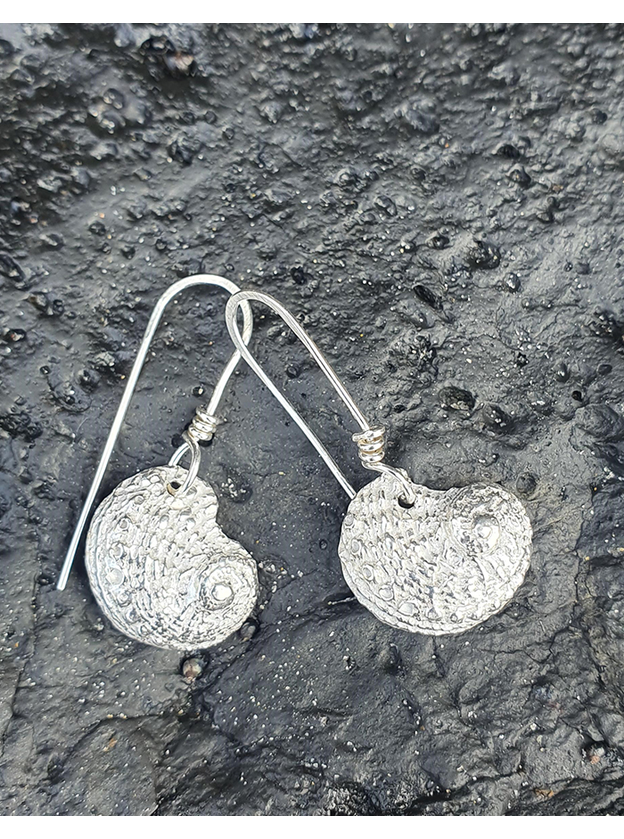 Silver Paua Shell Earrings