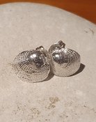 Silver Cockle Shell Stud Earrings