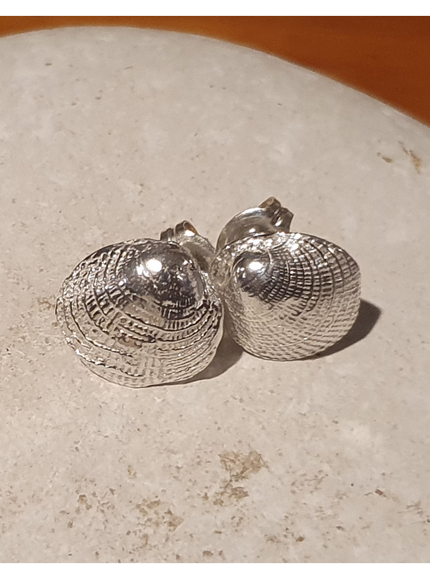 Silver Cockle Shell Stud Earrings