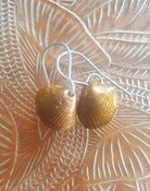 Copper Cockle Earrings with Silver Hooks