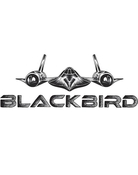 Rusty Blackbird Surfboard - FCS2