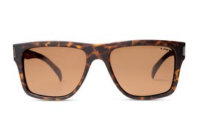 Liive Casino - Polarised Sunglasses-accessories-HYDRO SURF