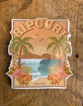 Rip Curl Icon Stickers-accessories-HYDRO SURF